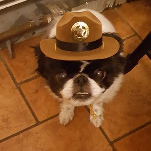 Meet your Posher, Chris